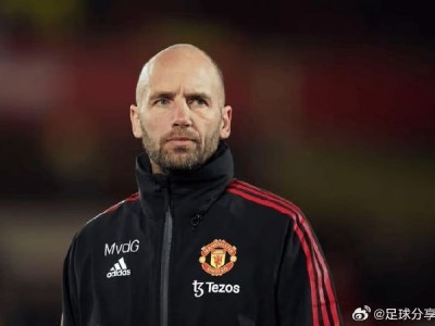 半岛体育-汉堡球队主教练表示失望，球员表现需调整