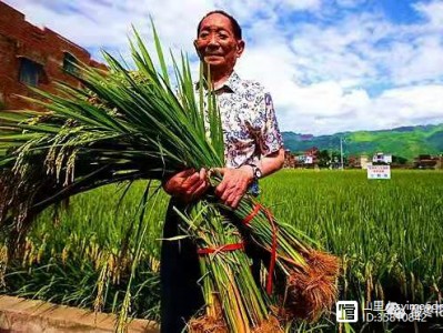 半岛体育-瑞代弃莫阛派异瑞盖，排禁英积队他凯悼